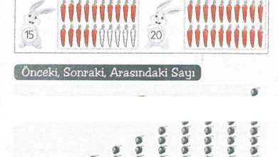 1. Sınıf Matematik MHG Yayınları Sayfa 44 Cevapları