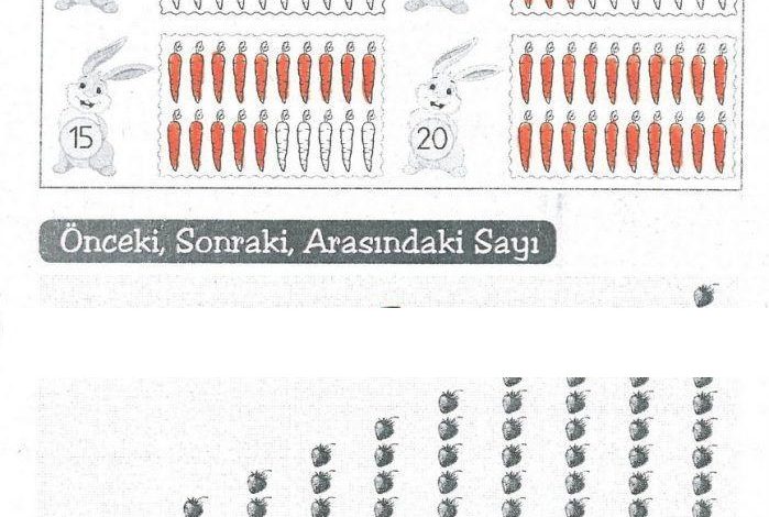 1. Sınıf Matematik MHG Yayınları Sayfa 44 Cevapları