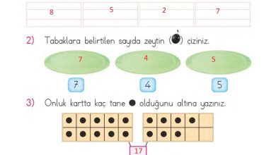 1. Sınıf Matematik MHG Yayınları Sayfa 45 Cevapları