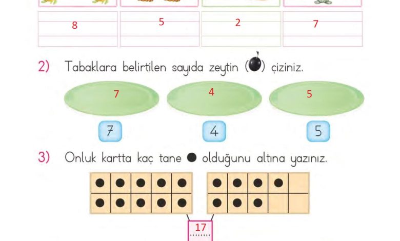 1. Sınıf Matematik MHG Yayınları Sayfa 45 Cevapları