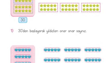 1. Sınıf Matematik MHG Yayınları Sayfa 48 Cevapları