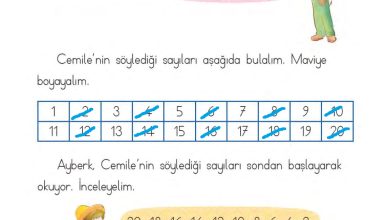 1. Sınıf Matematik MHG Yayınları Sayfa 49 Cevapları