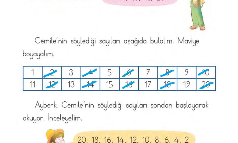 1. Sınıf Matematik MHG Yayınları Sayfa 49 Cevapları