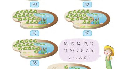 1. Sınıf Matematik MHG Yayınları Sayfa 50 Cevapları