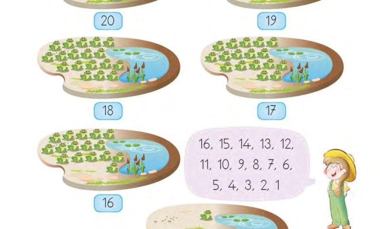 1. Sınıf Matematik MHG Yayınları Sayfa 50 Cevapları