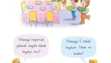 1. Sınıf Matematik MHG Yayınları Sayfa 52 Cevapları