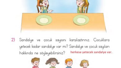 1. Sınıf Matematik MHG Yayınları Sayfa 56 Cevapları