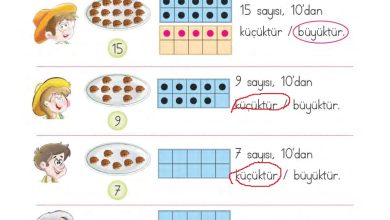 1. Sınıf Matematik MHG Yayınları Sayfa 58 Cevapları