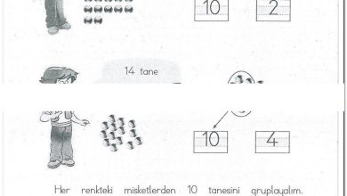 1. Sınıf Matematik MHG Yayınları Sayfa 60 Cevapları