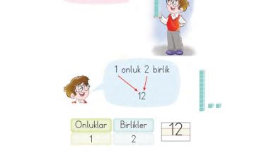 1. Sınıf Matematik MHG Yayınları Sayfa 61 Cevapları