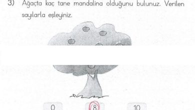 1. Sınıf Matematik MHG Yayınları Sayfa 68 Cevapları