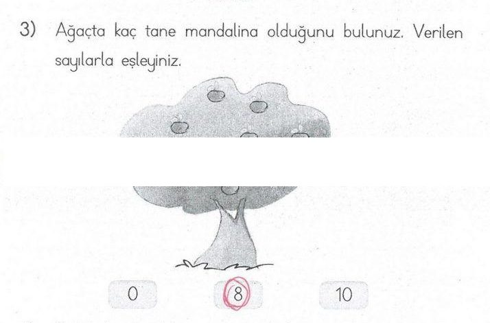 1. Sınıf Matematik MHG Yayınları Sayfa 68 Cevapları