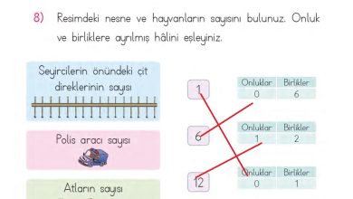 1. Sınıf Matematik MHG Yayınları Sayfa 69 Cevapları