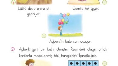 1. Sınıf Matematik MHG Yayınları Sayfa 75 Cevapları