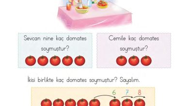 1. Sınıf Matematik MHG Yayınları Sayfa 76 Cevapları