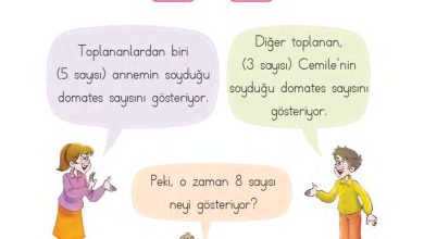 1. Sınıf Matematik MHG Yayınları Sayfa 77 Cevapları