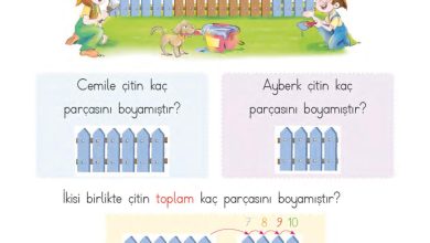 1. Sınıf Matematik MHG Yayınları Sayfa 78 Cevapları