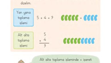 1. Sınıf Matematik MHG Yayınları Sayfa 80 Cevapları