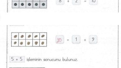 1. Sınıf Matematik MHG Yayınları Sayfa 81 Cevapları