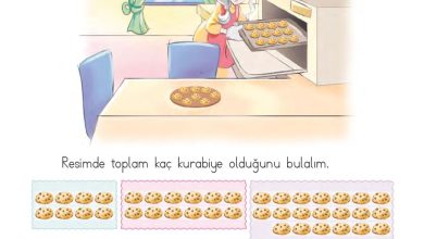 1. Sınıf Matematik MHG Yayınları Sayfa 82 Cevapları