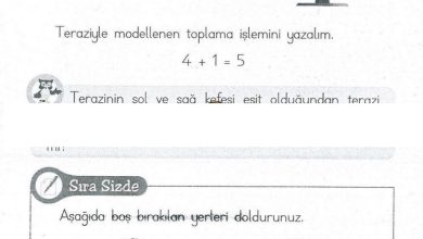 1. Sınıf Matematik MHG Yayınları Sayfa 84 Cevapları