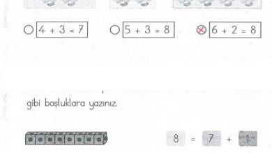 1. Sınıf Matematik MHG Yayınları Sayfa 85 Cevapları