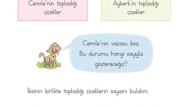 1. Sınıf Matematik MHG Yayınları Sayfa 88 Cevapları