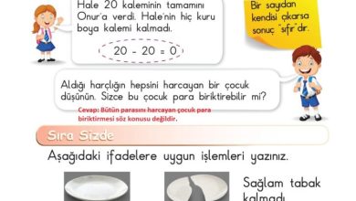 1. Sınıf Matematik Meb Yayınları Sayfa 100 Cevapları