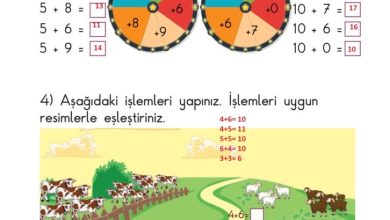 1. Sınıf Matematik Meb Yayınları Sayfa 102 Cevapları