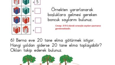 1. Sınıf Matematik Meb Yayınları Sayfa 103 Cevapları