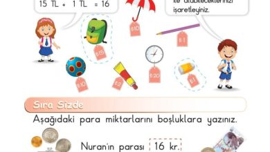 1. Sınıf Matematik Meb Yayınları Sayfa 111 Cevapları