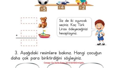 1. Sınıf Matematik Meb Yayınları Sayfa 113 Cevapları