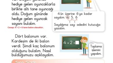 1. Sınıf Matematik Meb Yayınları Sayfa 114 Cevapları