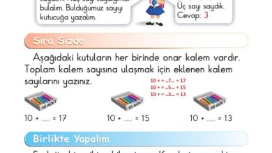 1. Sınıf Matematik Meb Yayınları Sayfa 115 Cevapları