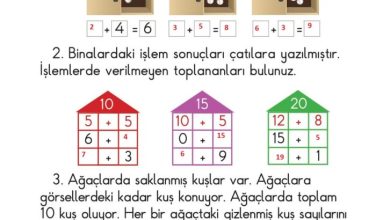 1. Sınıf Matematik Meb Yayınları Sayfa 116 Cevapları