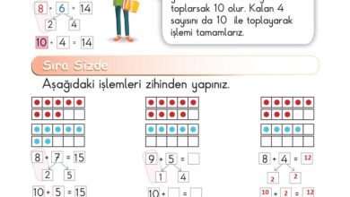 1. Sınıf Matematik Meb Yayınları Sayfa 117 Cevapları