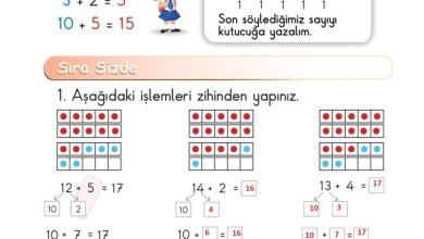 1. Sınıf Matematik Meb Yayınları Sayfa 118 Cevapları