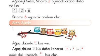 1. Sınıf Matematik Meb Yayınları Sayfa 119 Cevapları