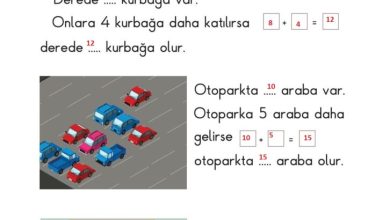 1. Sınıf Matematik Meb Yayınları Sayfa 120 Cevapları