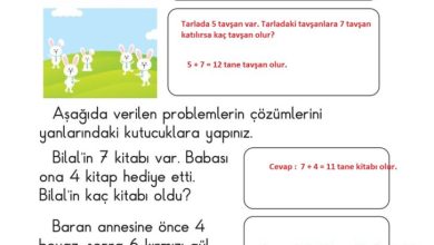 1. Sınıf Matematik Meb Yayınları Sayfa 121 Cevapları