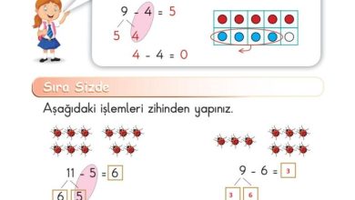 1. Sınıf Matematik Meb Yayınları Sayfa 123 Cevapları