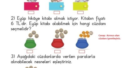 1. Sınıf Matematik Meb Yayınları Sayfa 129 Cevapları