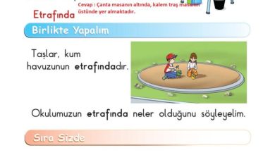 1. Sınıf Matematik Meb Yayınları Sayfa 13 Cevapları