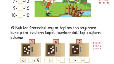 1. Sınıf Matematik Meb Yayınları Sayfa 131 Cevapları