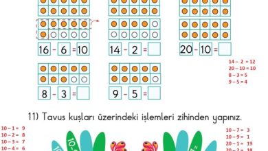 1. Sınıf Matematik Meb Yayınları Sayfa 132 Cevapları