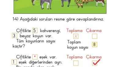 1. Sınıf Matematik Meb Yayınları Sayfa 134 Cevapları