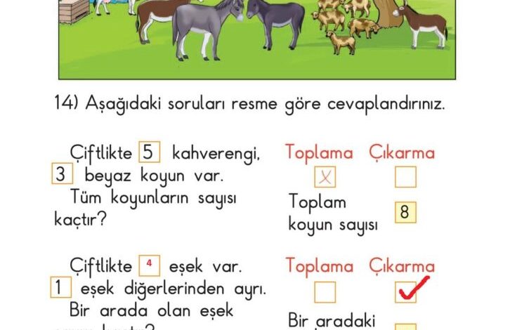 1. Sınıf Matematik Meb Yayınları Sayfa 134 Cevapları