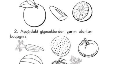 1. Sınıf Matematik Meb Yayınları Sayfa 137 Cevapları