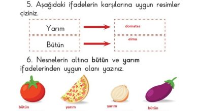 1. Sınıf Matematik Meb Yayınları Sayfa 138 Cevapları