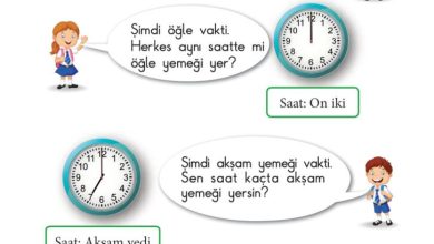 1. Sınıf Matematik Meb Yayınları Sayfa 142 Cevapları